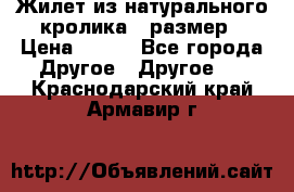 Жилет из натурального кролика,44размер › Цена ­ 500 - Все города Другое » Другое   . Краснодарский край,Армавир г.